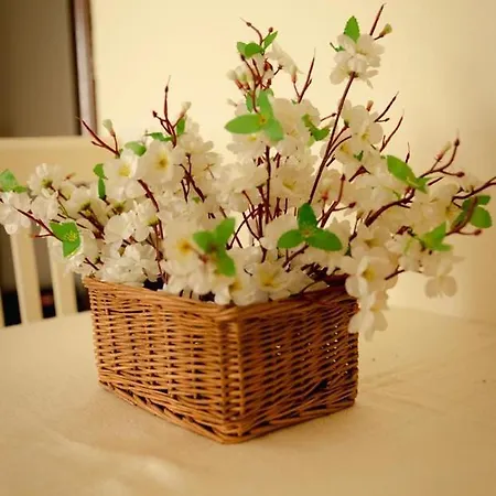 S&f Centre Apartament Tirana