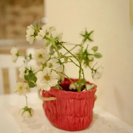 Appartement S&f Centre *