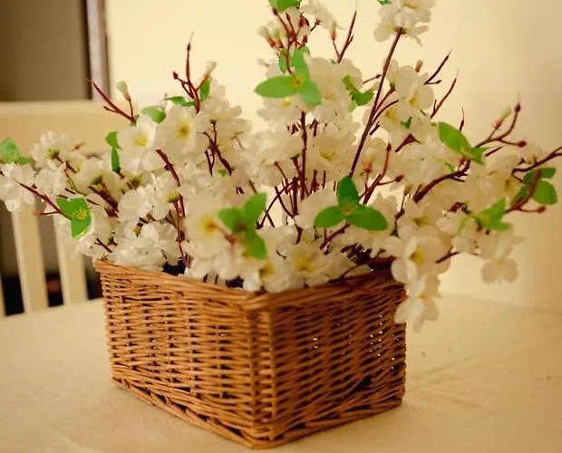 S&f Centre Appartement Tirana