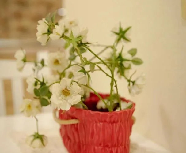 Appartement S&f Centre *